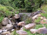 Northern Waitete Municipal Water Supply dam from downstream